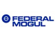 Federal Mogul